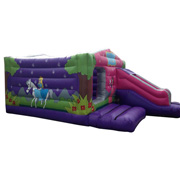 fashion inflatable bouncer